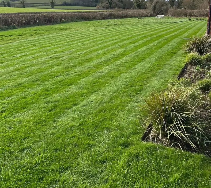 Lawn Care Henley